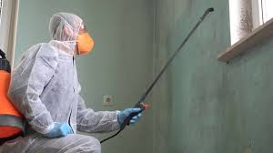 Best Industrial Mold Remediation  in Rutherford, NJ